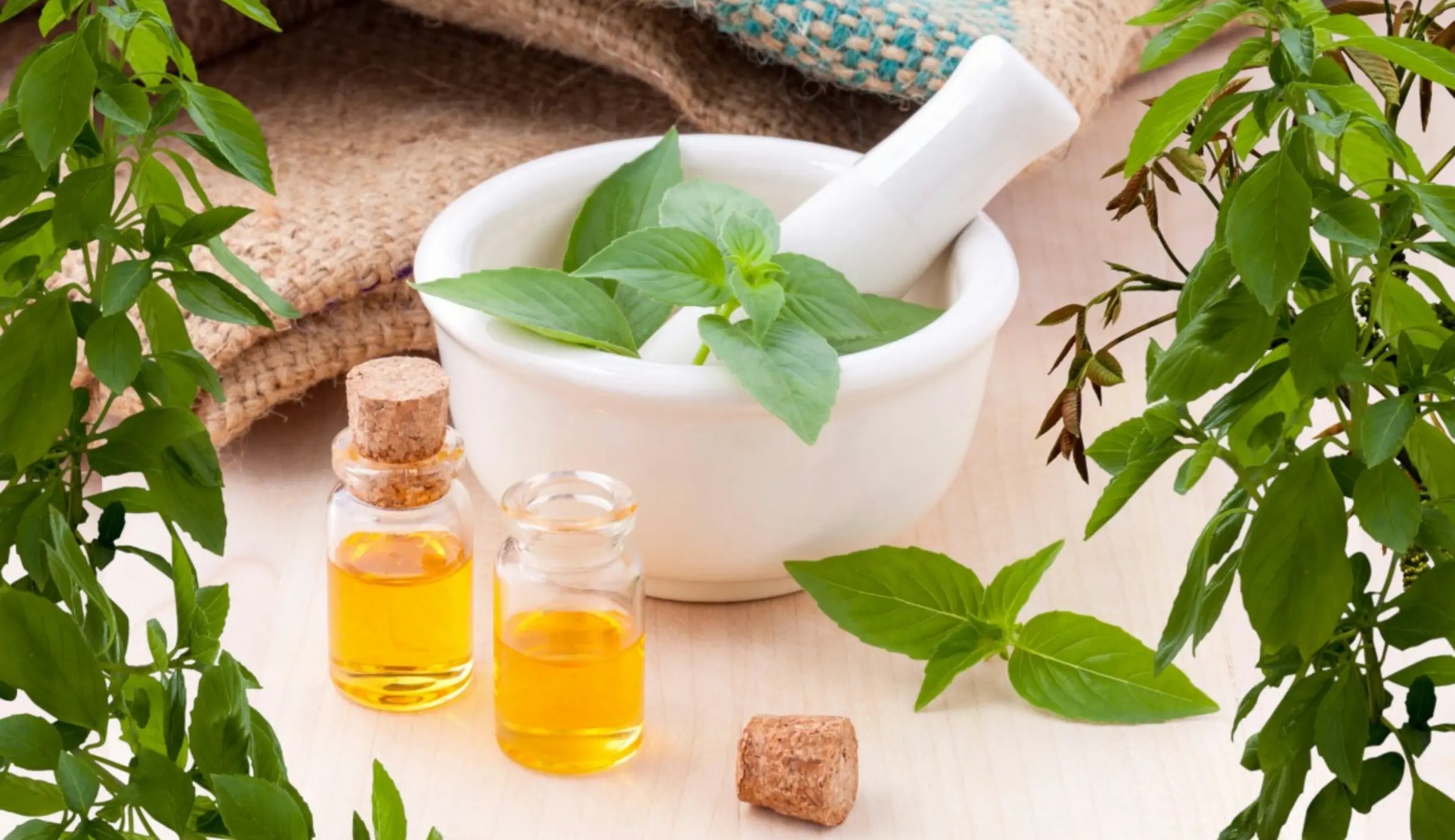 Peppermint Oil  A Natural Performance Enhancement Rule 28